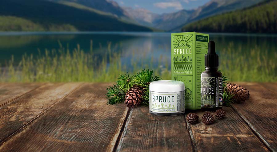 spruce set by lake
