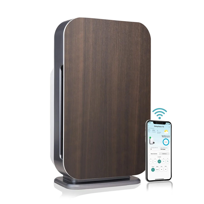 Alen Air Purifier Company Review