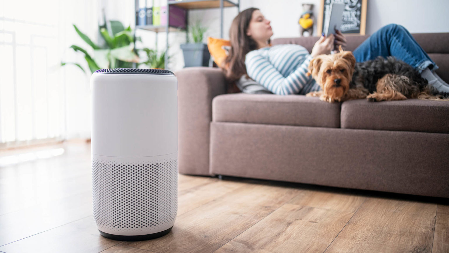 How to Buy the Right Air Purifier