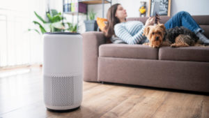 woman on couch with dog in front of air purifier