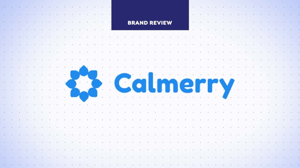 Calmerry Mental Health Therapy Review